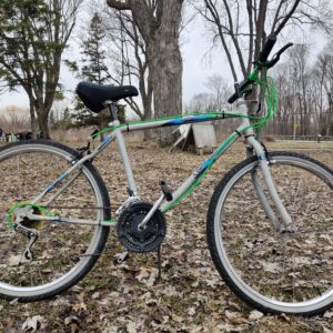 ROADMASTER Avenue of the Giants